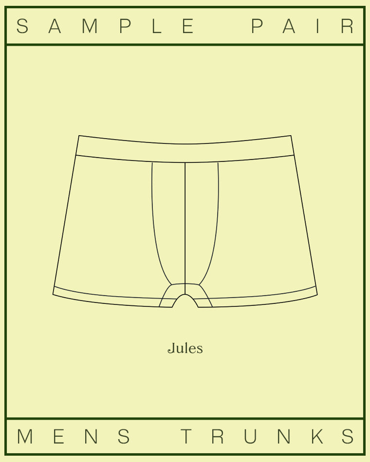 Jules - Men's Sample Briefs Pair